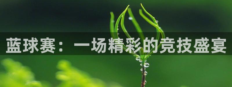 意昂4娱乐平台：蓝球赛：一场精彩的竞技盛宴