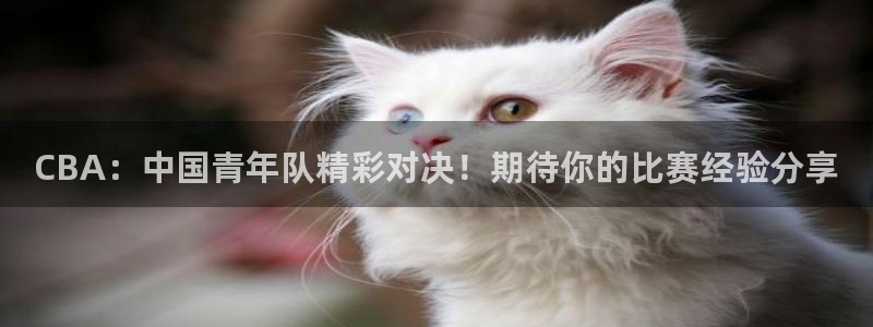 凯捷体育：CBA：中国青年队精彩对决！期待你的比赛经验分享