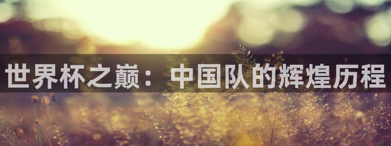 意昂4注册地址：世界杯之巅：中国队的辉煌历程