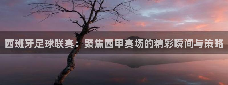 意昂4娱乐官网入口：西班牙足球联赛：聚焦西甲赛场的精彩瞬间与