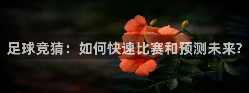 意昂4：足球竞猜：如何快速比赛和预测未来?