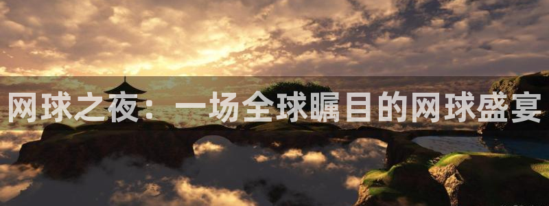 意昂4登录：网球之夜：一场全球瞩目的网球盛宴