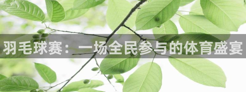 意昂4平台登录：羽毛球赛：一场全民参与的体育盛宴