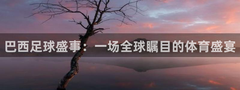 意昂4登录：巴西足球盛事：一场全球瞩目的体育盛宴