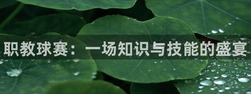 意昂4登录平台：职教球赛：一场知识与技能的盛宴