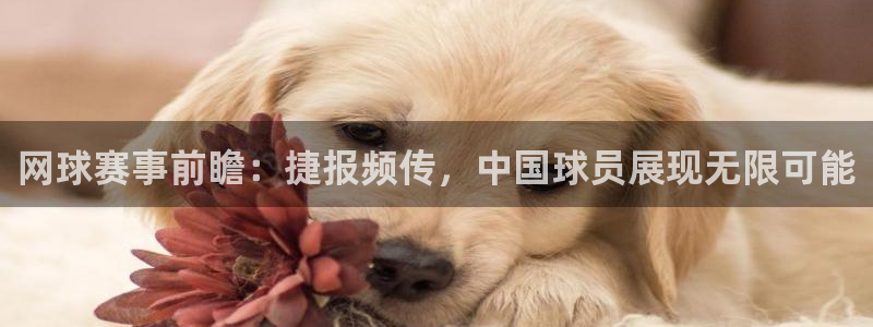 意昂4体育：网球赛事前瞻：捷报频传，中国球员展现无限可能