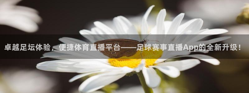 意昂4注册地址：卓越足坛体验，便捷体育直播平台——足球赛事直