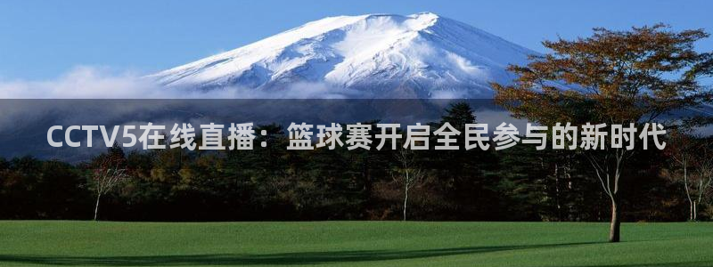 意昂4：CCTV5在线直播：篮球赛开启全民参与的新时代