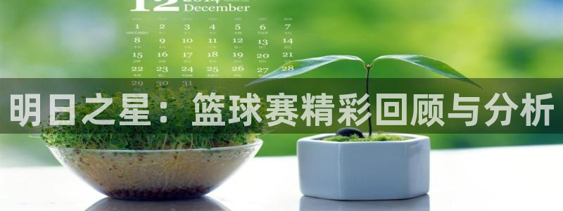 意昂4登录平台：明日之星：篮球赛精彩回顾与分析